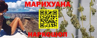 стаф Бузулук