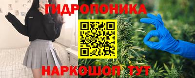 стаф Бузулук