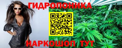 стаф Бузулук